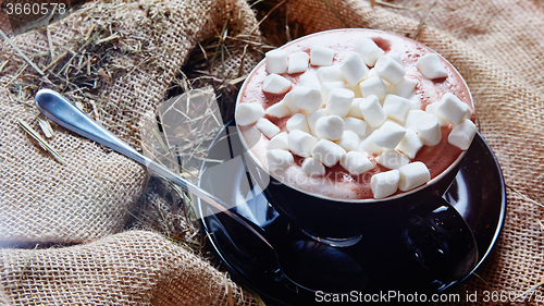 Image of Cup of cocoa with marshmallows