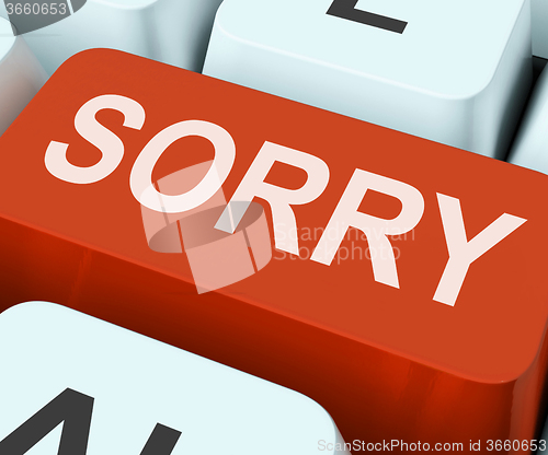 Image of Sorry Key Shows Online Apology Or Regret