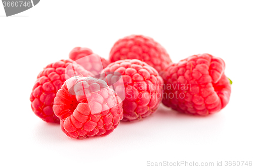 Image of Ripe raspberry