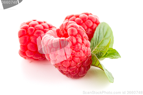 Image of Ripe raspberry with leaf