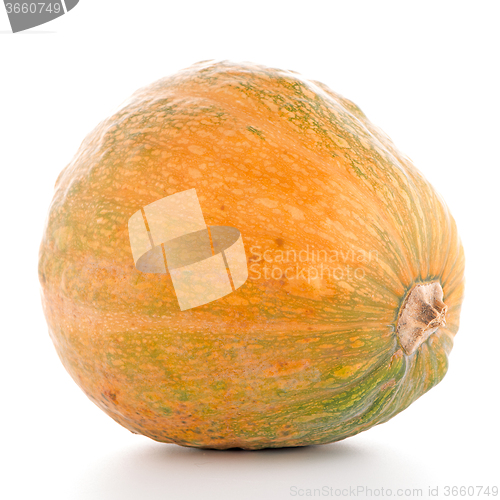 Image of Pumpkin