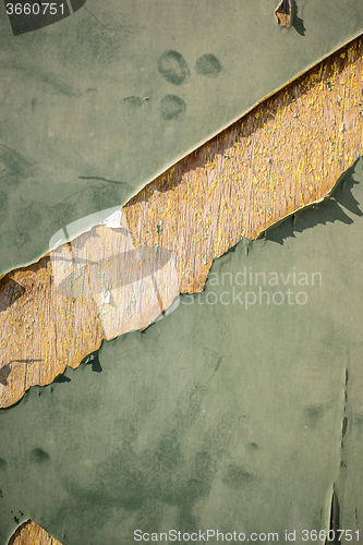 Image of Green painted wood texture