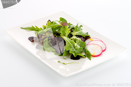 Image of Fresh salad mix