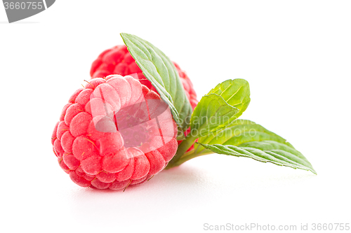 Image of Ripe raspberry with leaf