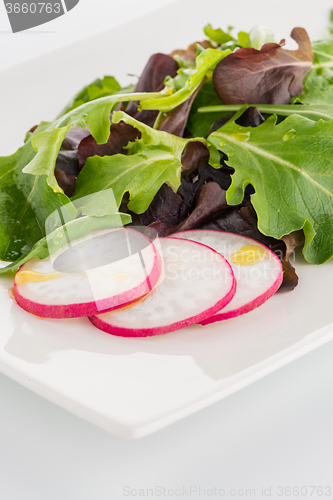 Image of Fresh salad mix