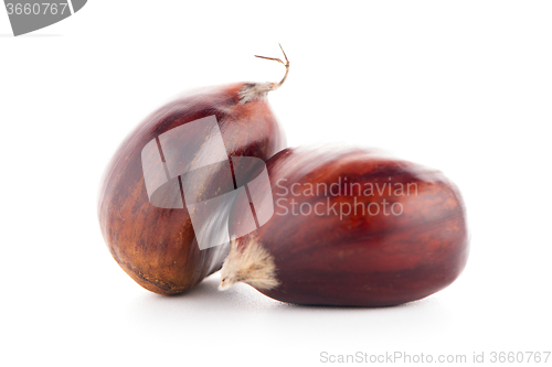 Image of Chestnuts with shell 