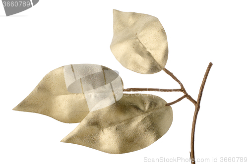 Image of Christmas decorative golden leaves