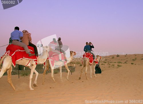 Image of camel trekking