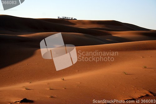 Image of desert safari