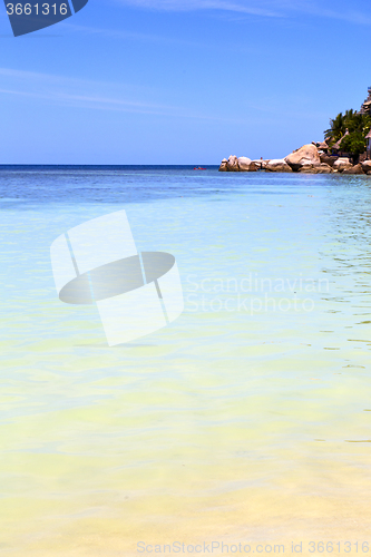 Image of   asia   bay kho tao  isle  