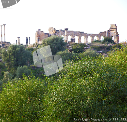 Image of volubilis in morocco africa the old roman deteriorated monument 