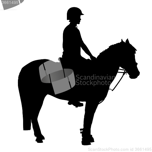 Image of Mounted Games Pony