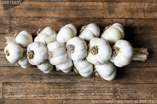 Image of Bunch of garlic