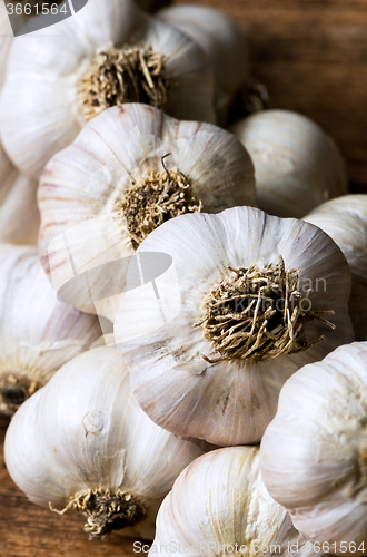 Image of Bunch of garlic