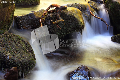 Image of detail on a mountain stream