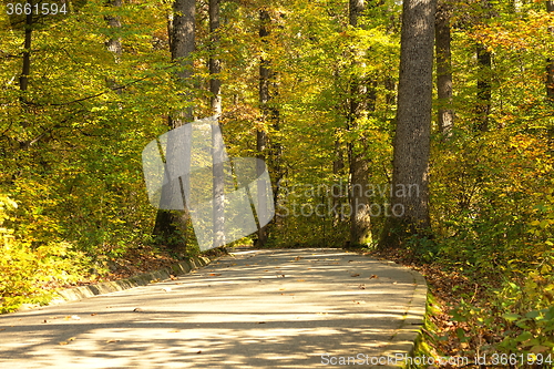 Image of park alley in fall season