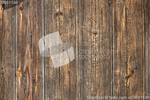 Image of spruce planks on old fence