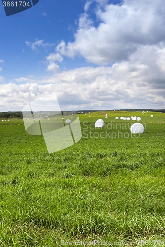 Image of harvesting grass hay 