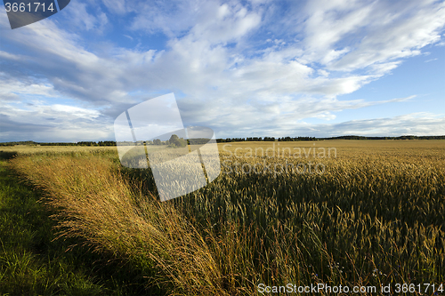 Image of border agricultural fields  