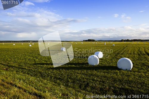 Image of harvesting grass   in cellophane