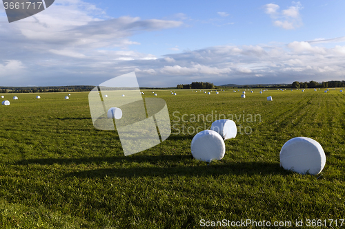 Image of harvesting grass   in cellophane