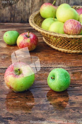 Image of autumn harvest of apples