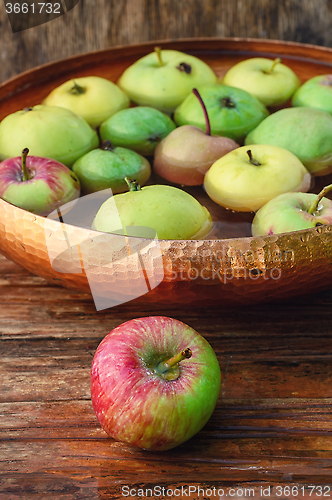 Image of autumn harvest of apples