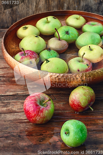 Image of autumn harvest of apples