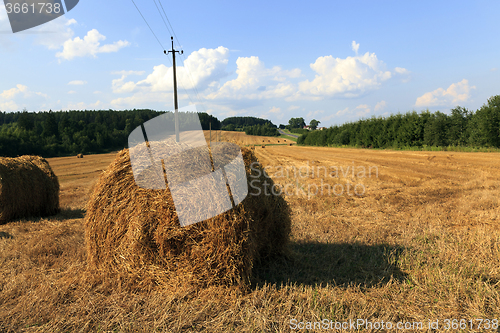 Image of haystacks straw lying  