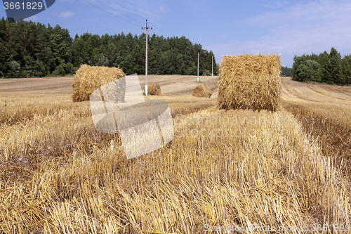 Image of haystacks straw . summer