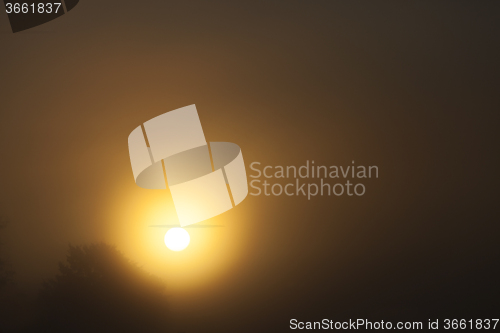 Image of dawn sun .  fog 