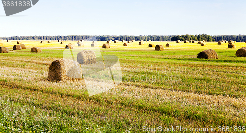 Image of packed straw . cereals