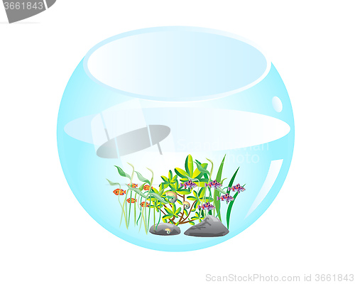 Image of Aquarium with fish shoals