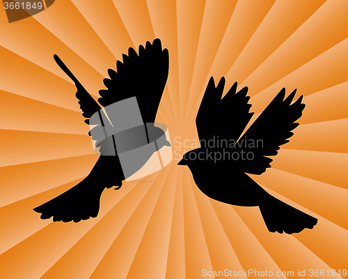 Image of two flying birds