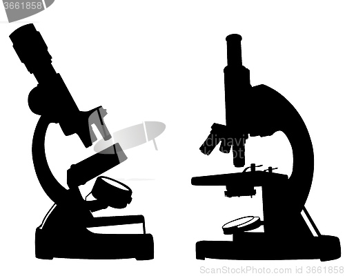 Image of microscopes