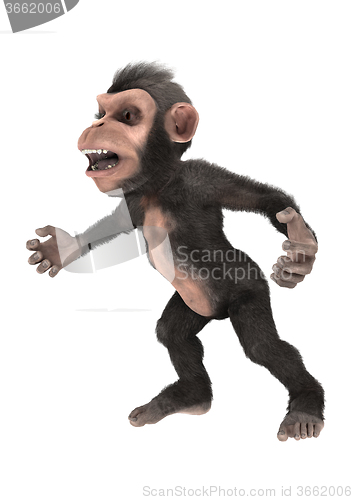 Image of Little Chimp on White