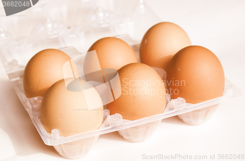 Image of Retro looking Eggs picture