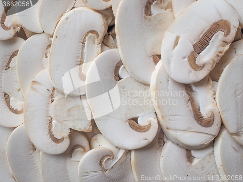 Image of Champignon mushrooms background