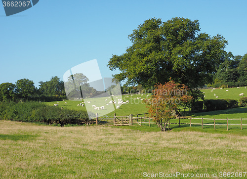 Image of View of Tanworth in Arden