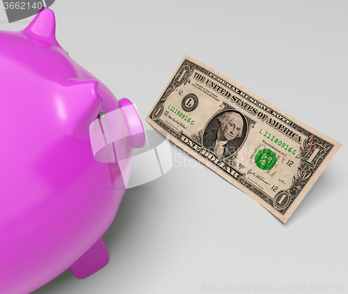 Image of Piggy Dollars Shows Income Saved In America