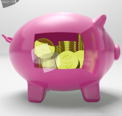 Image of Dollars In Piggy Shows Rich American Fortune