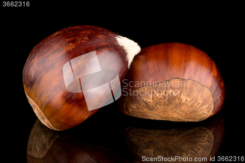 Image of Chestnuts on a black reflective background