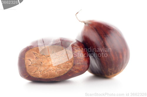 Image of Chestnuts with shell 