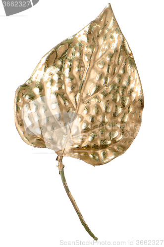 Image of Christmas decorative golden leaves