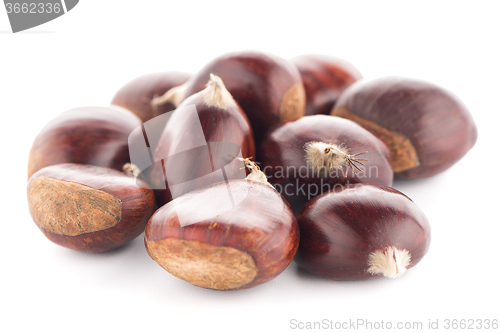 Image of Chestnuts with shell 