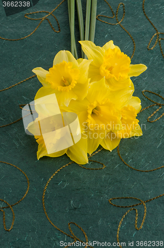 Image of Jonquil flowers