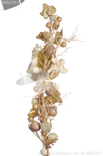 Image of Golden Christmas decoration branches