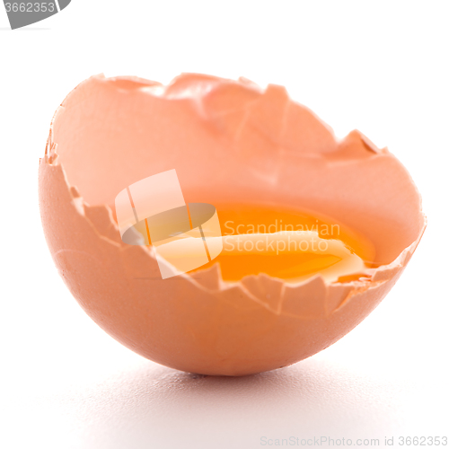 Image of Broken egg on white