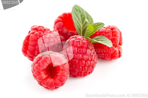 Image of Ripe raspberry with leaf