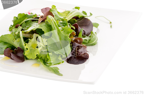 Image of Fresh salad mix